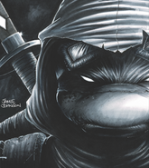 JAMIE JOHNSON TMNT LAST RONIN LOST YEARS