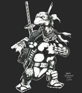 JAMIE JOHNSON TMNT LAST RONIN ORIGINS