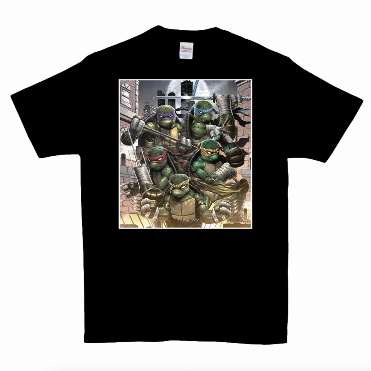 TMNT 100