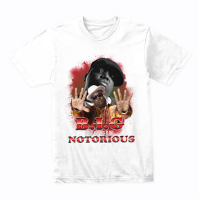 BIG BIGGIE - THE NOTORIOUS